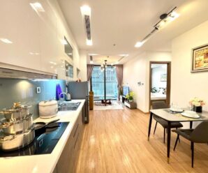 Cho thuê căn hộ dịch vụ D’capitale – Luxury Serviced Apartment Trần Duy Hưng, Cầu Giấy, Hà Nội
